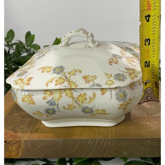 Antique Haviland Limoges Porcelain Lidded Tureen Floral Design - Picture 4 of 16